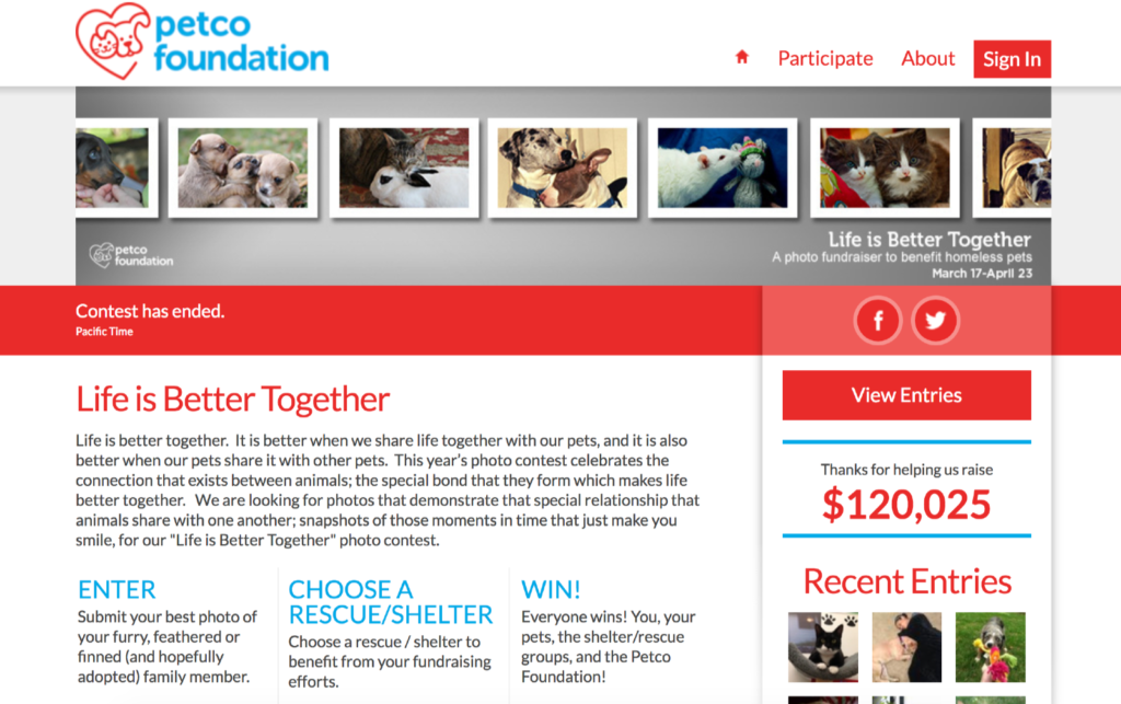 Petco Foundation | Life is Better Together