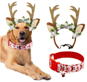 Christmas ideas for pets - antlers