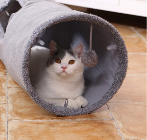 Christmas ideas for your pets - cat tunnel