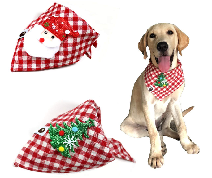 Christmas Ideas For Pets & Pet Stores CandyBar.co Blog