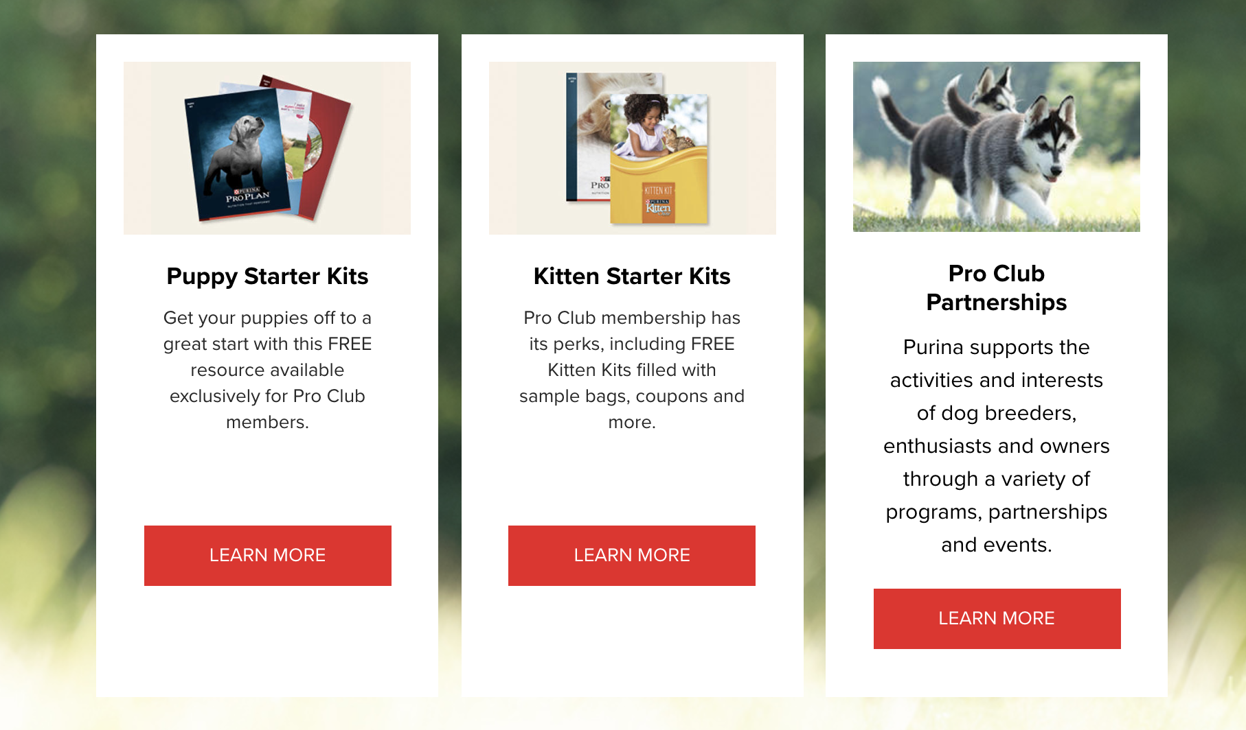 Points, Perks and Puppers: 5 Best Pet Store Loyalty Programs –   Blog