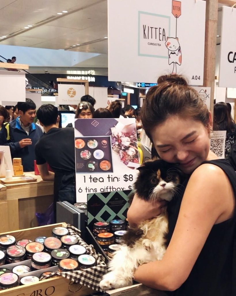 inez lim kittea curious tea candybar merchant stories a love of tea and cats mykittea