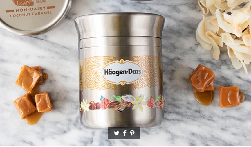 haagen dazs stainless steel delivery partner