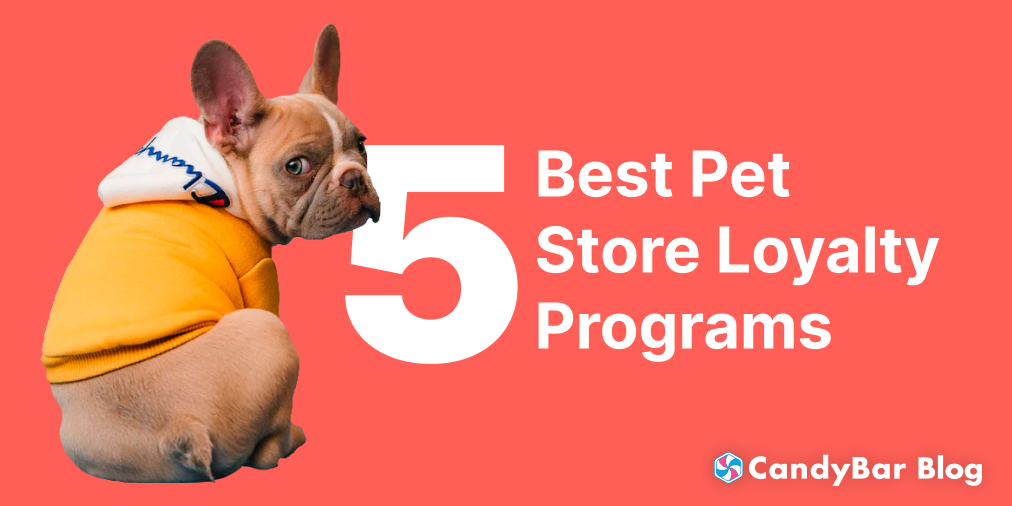 best pet store for dogs
